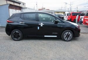 ev-leaf