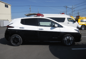 ev leaf003