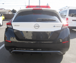 ev leaf004