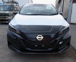 ev-leaf